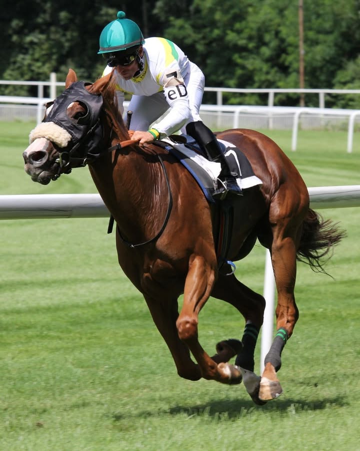 Featured image for “Melbourne Cup Long Lunch: Racing Day Fun at Swansea Sports Club”